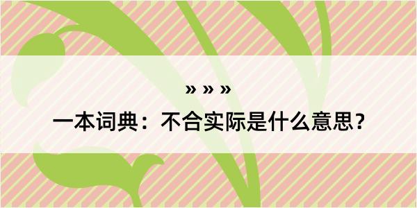 一本词典：不合实际是什么意思？