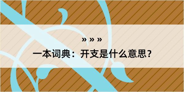 一本词典：开支是什么意思？