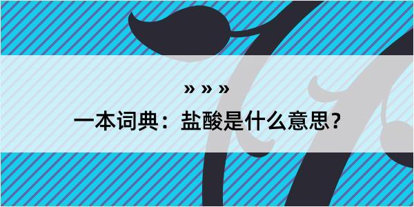 一本词典：盐酸是什么意思？