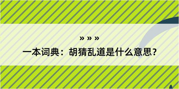 一本词典：胡猜乱道是什么意思？