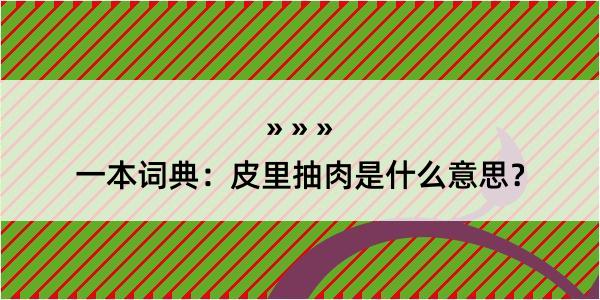 一本词典：皮里抽肉是什么意思？