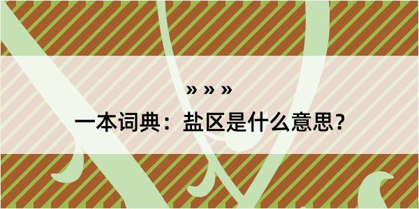 一本词典：盐区是什么意思？