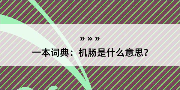 一本词典：机肠是什么意思？