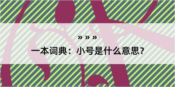 一本词典：小号是什么意思？