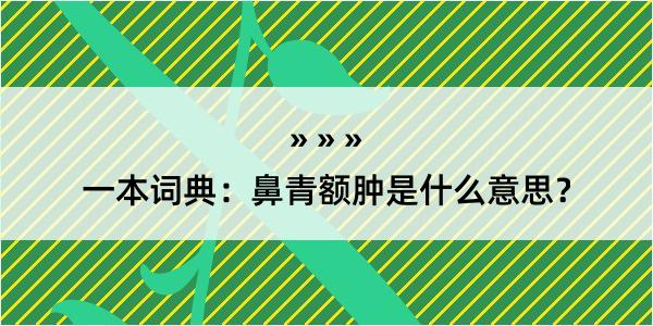 一本词典：鼻青额肿是什么意思？