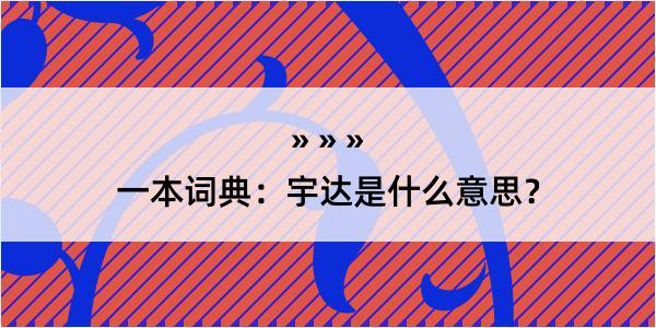 一本词典：宇达是什么意思？