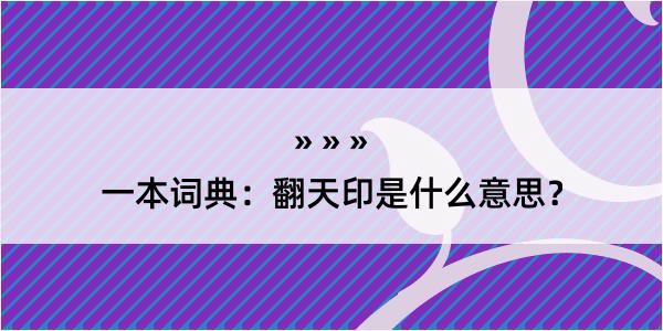 一本词典：翻天印是什么意思？