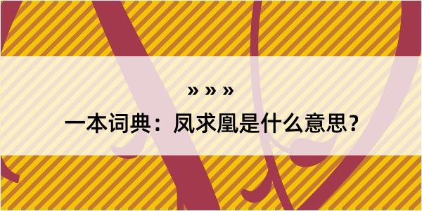 一本词典：凤求凰是什么意思？