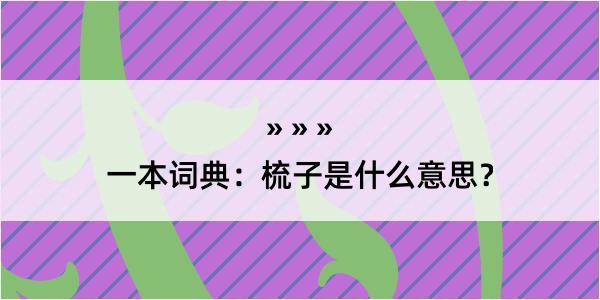 一本词典：梳子是什么意思？