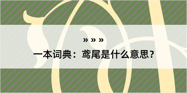 一本词典：鸢尾是什么意思？