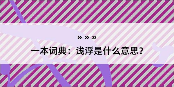 一本词典：浅浮是什么意思？