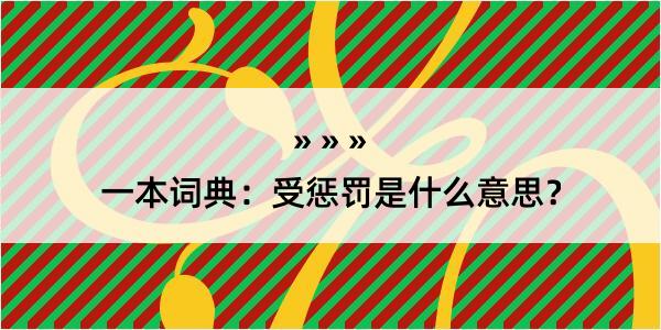 一本词典：受惩罚是什么意思？