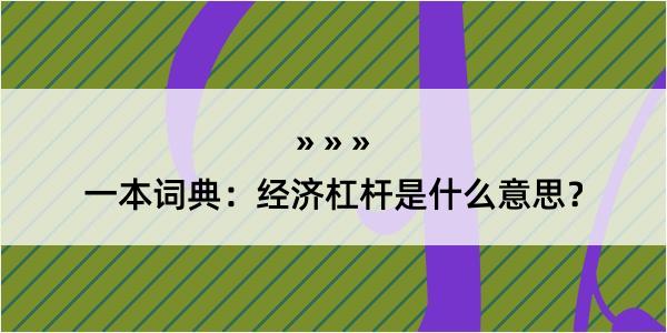 一本词典：经济杠杆是什么意思？