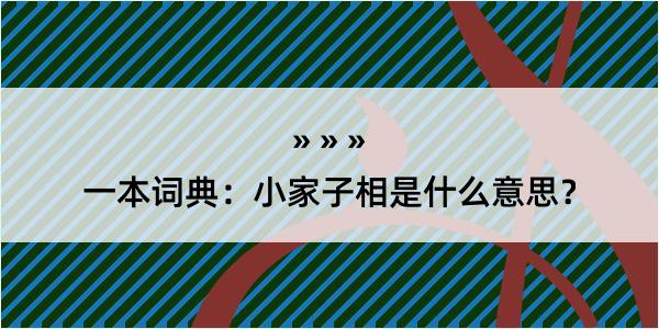 一本词典：小家子相是什么意思？