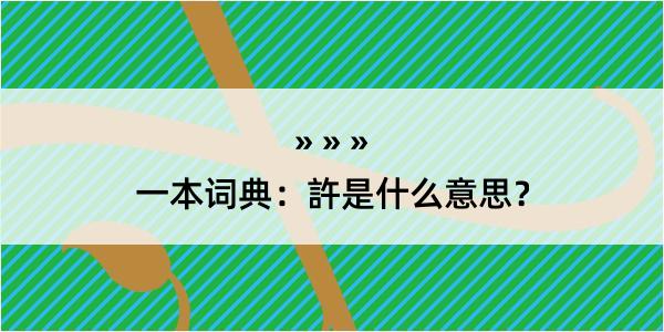 一本词典：許是什么意思？