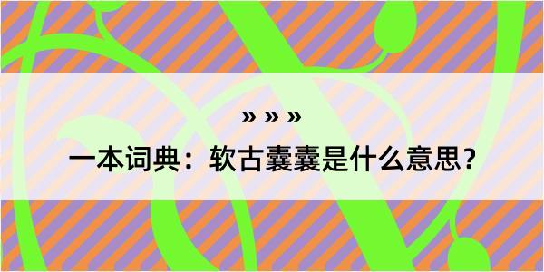 一本词典：软古囊囊是什么意思？