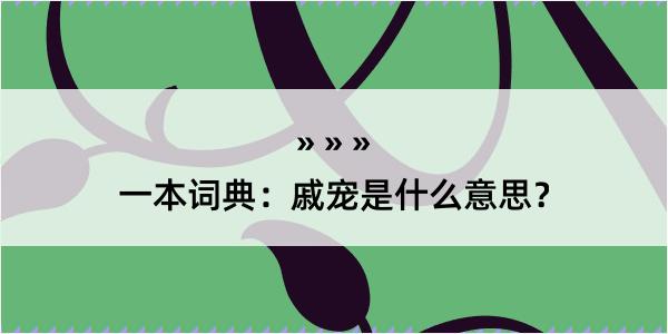 一本词典：戚宠是什么意思？