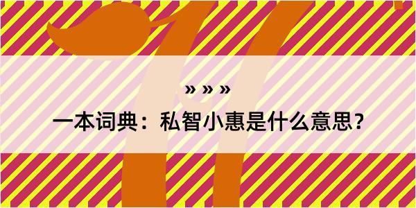 一本词典：私智小惠是什么意思？