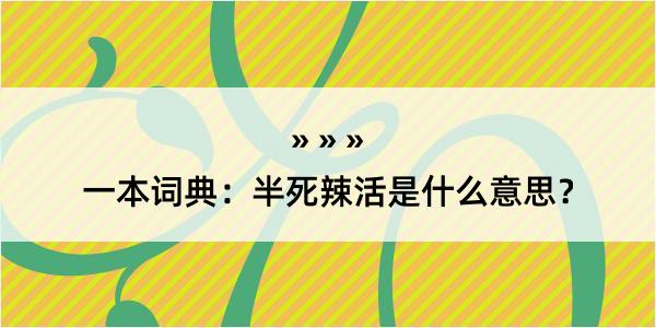 一本词典：半死辣活是什么意思？