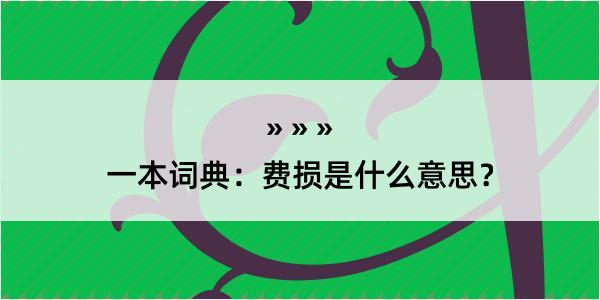 一本词典：费损是什么意思？