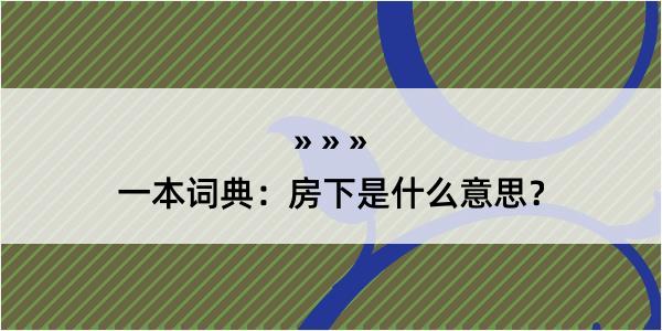 一本词典：房下是什么意思？