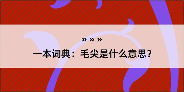 一本词典：毛尖是什么意思？