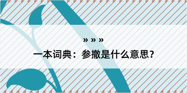 一本词典：参撤是什么意思？