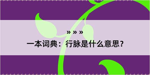 一本词典：行脉是什么意思？