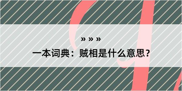 一本词典：贼相是什么意思？