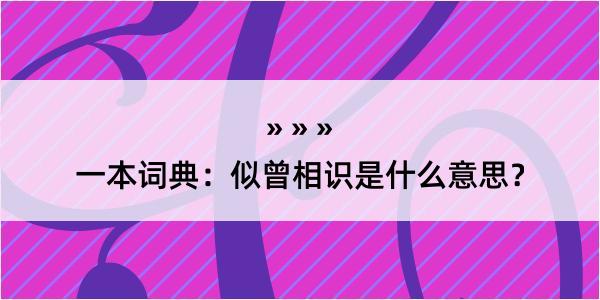 一本词典：似曾相识是什么意思？