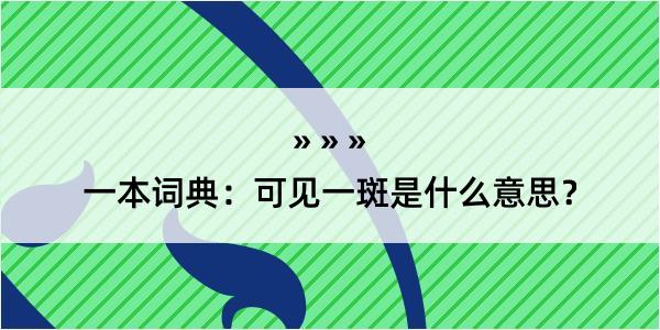 一本词典：可见一斑是什么意思？