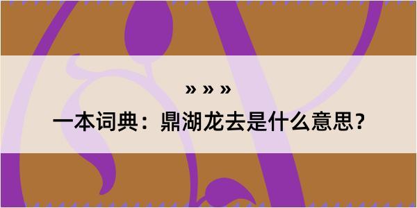 一本词典：鼎湖龙去是什么意思？