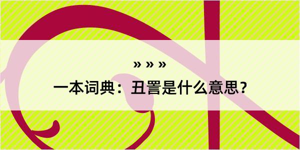 一本词典：丑詈是什么意思？