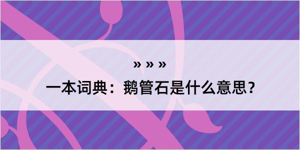 一本词典：鹅管石是什么意思？