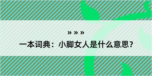 一本词典：小脚女人是什么意思？