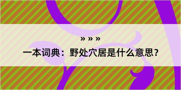 一本词典：野处穴居是什么意思？