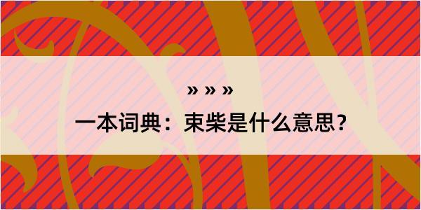 一本词典：束柴是什么意思？