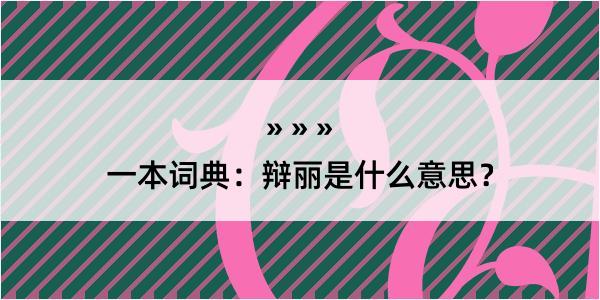 一本词典：辩丽是什么意思？