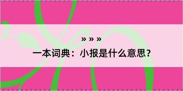 一本词典：小报是什么意思？