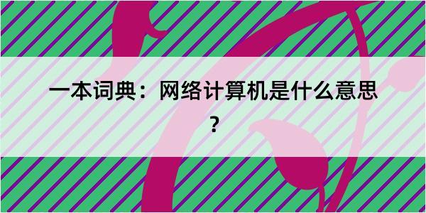 一本词典：网络计算机是什么意思？