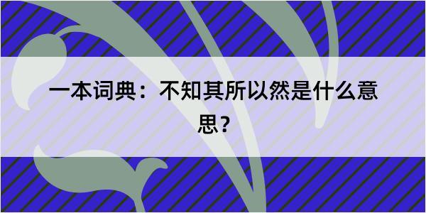 一本词典：不知其所以然是什么意思？