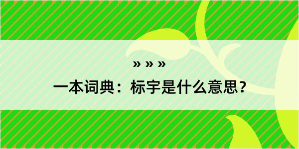 一本词典：标宇是什么意思？