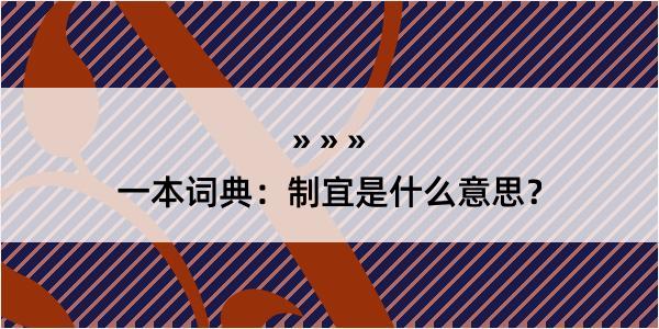 一本词典：制宜是什么意思？