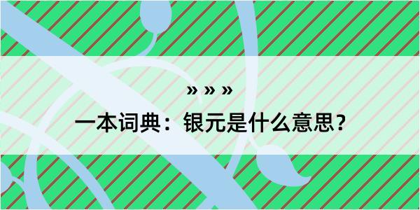 一本词典：银元是什么意思？