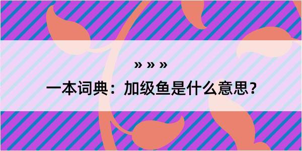 一本词典：加级鱼是什么意思？