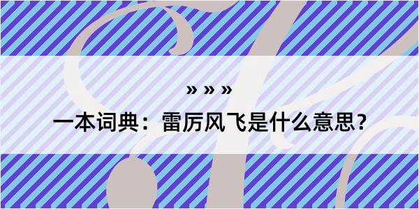 一本词典：雷厉风飞是什么意思？