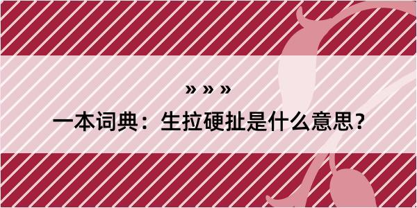 一本词典：生拉硬扯是什么意思？