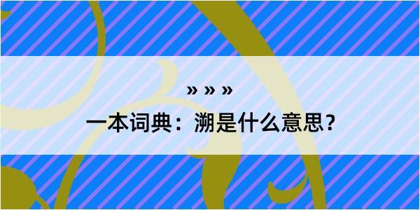 一本词典：溯是什么意思？