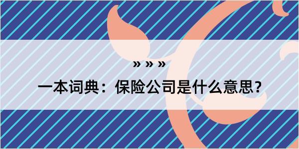 一本词典：保险公司是什么意思？