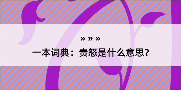 一本词典：责怒是什么意思？